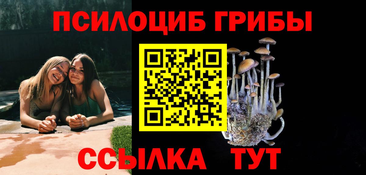 Галлюциногенные грибы Psilocybine cubensis  Вход с VPN  Сердобск 