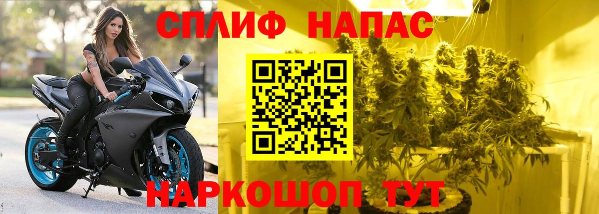 Каннабис White Widow Сердобск